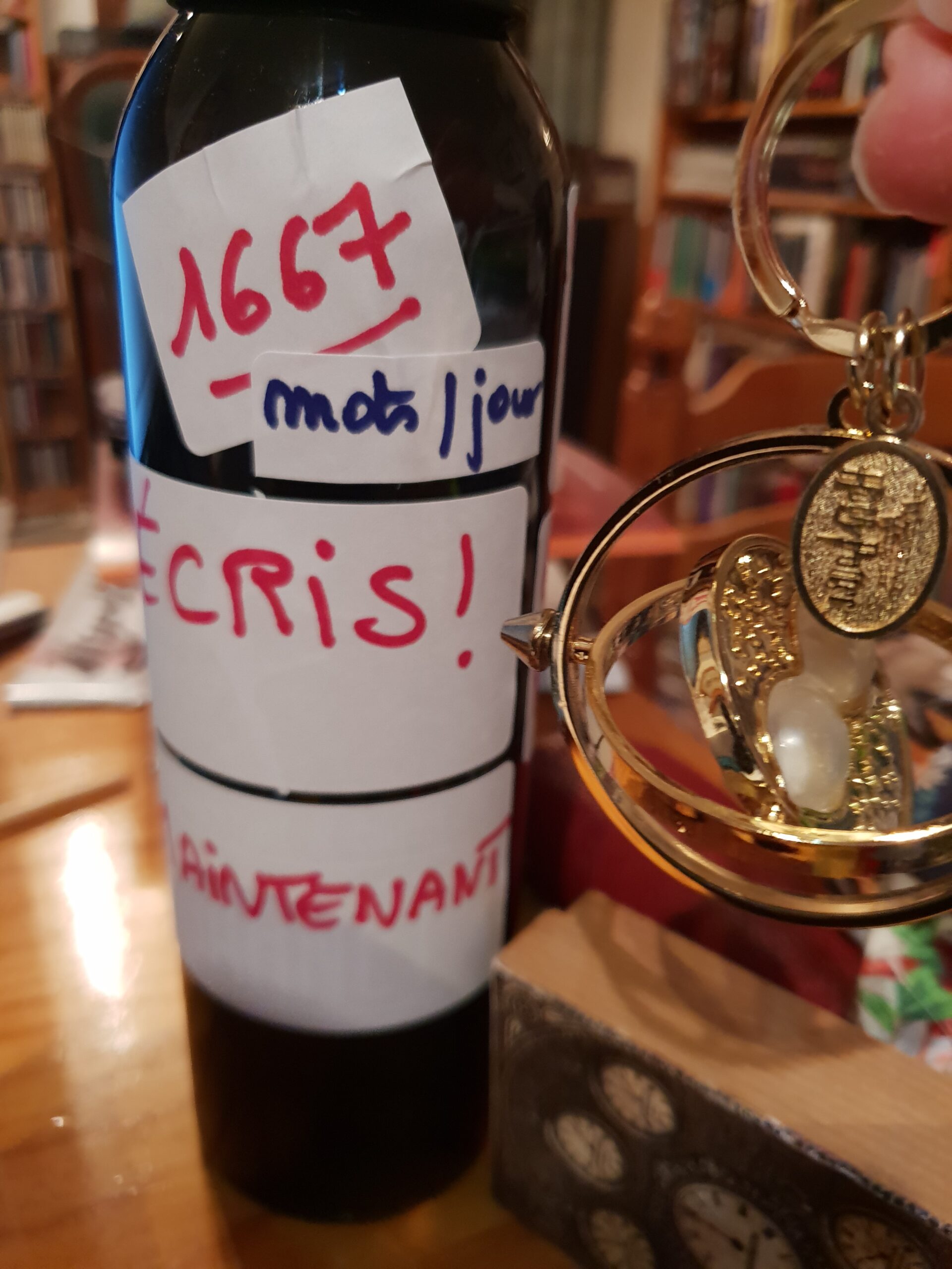 Mon premier NaNoWriMo !